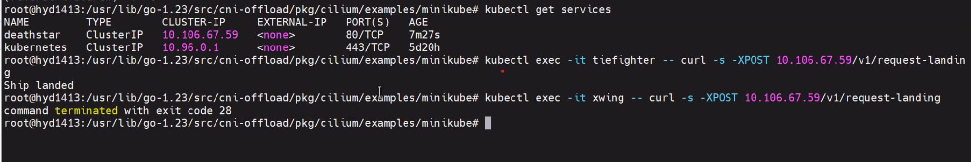 CNI-Offload policies